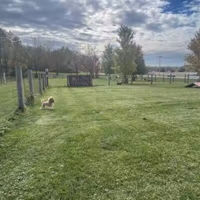 Premier Boarding Kennel - Marengo, OH