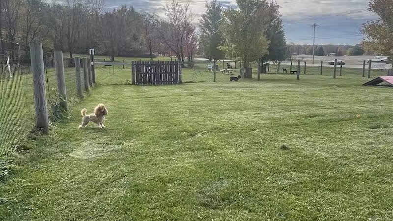 Premier Boarding Kennel - Marengo, OH