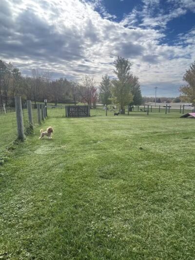 Premier Boarding Kennel - Marengo, OH