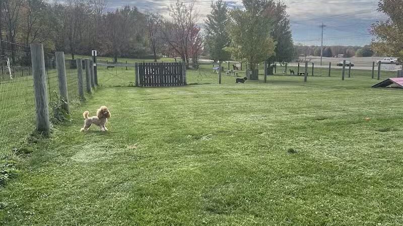 Premier Boarding Kennel - Marengo, OH