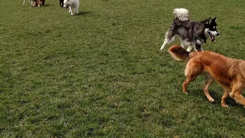 Premier Boarding Kennel - Marengo, OH