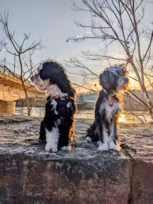 Muskingum Parking Lot - Marietta, OH