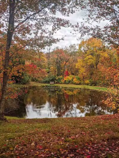 Broughton Nature and Wildlife Education Area - Marietta, OH