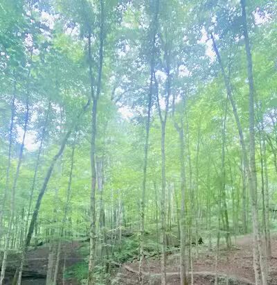 Broughton Nature and Wildlife Education Area - Marietta, OH