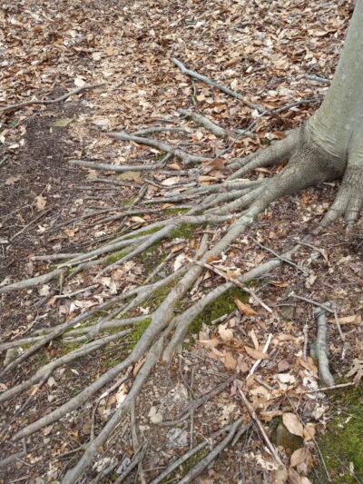 Broughton Nature and Wildlife Education Area - Marietta, OH