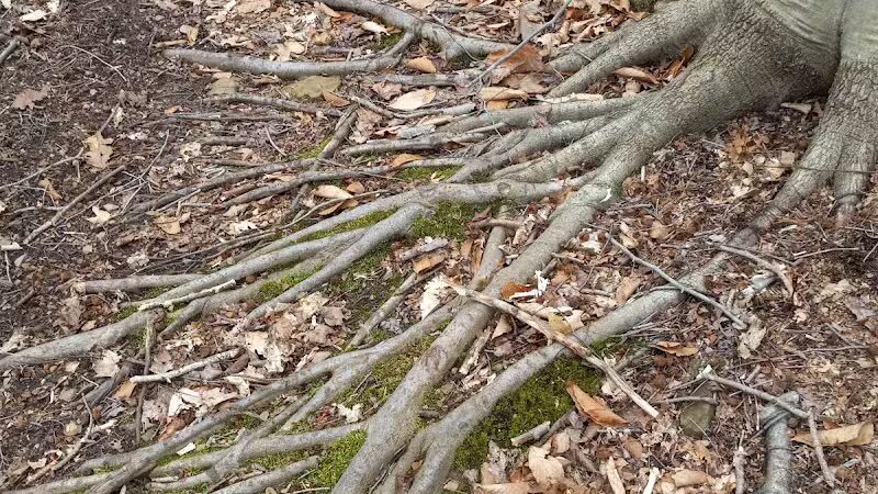 Broughton Nature and Wildlife Education Area - Marietta, OH