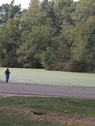 Buckeye Park - Marietta, OH