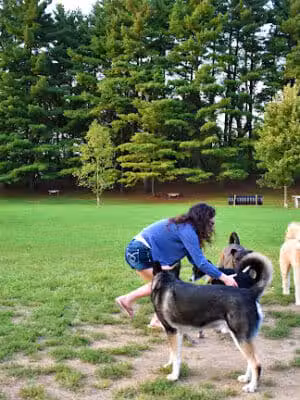 Jackson Hill Dog Park - Marietta, OH