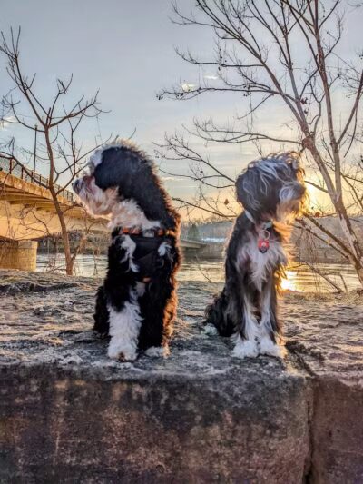 Muskingum Parking Lot - Marietta, OH