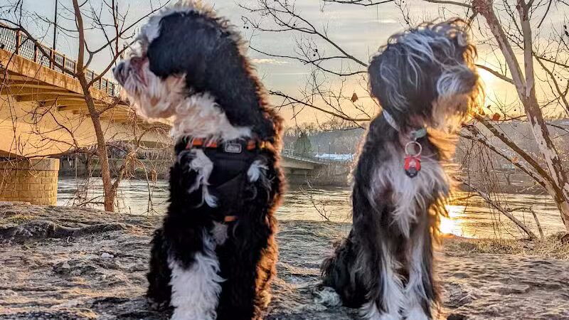 Muskingum Parking Lot - Marietta, OH