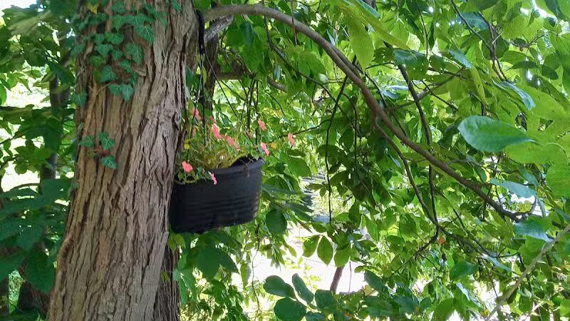 Old Walnut Street Trail - Marietta, OH