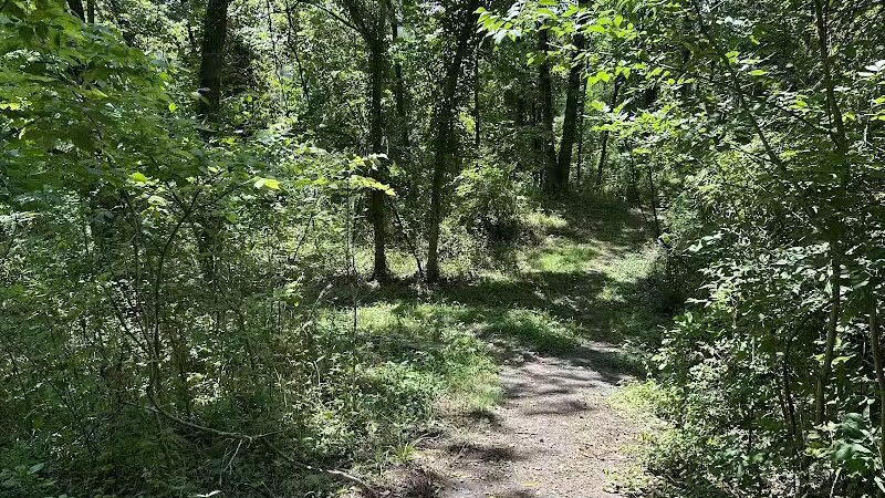 Old Walnut Street Trail - Marietta, OH