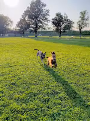 Kaufman Dog Park - Marion, OH