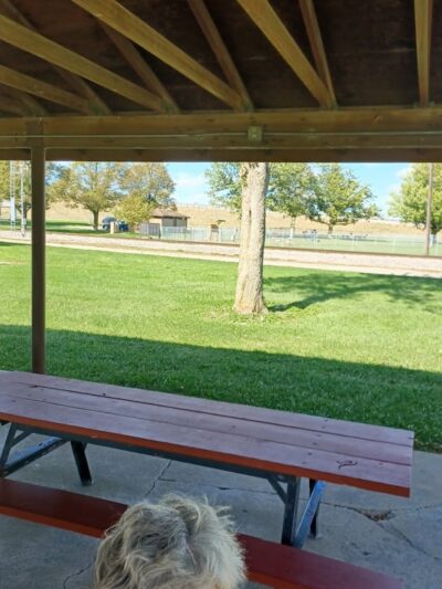 Kaufman Dog Park - Marion, OH