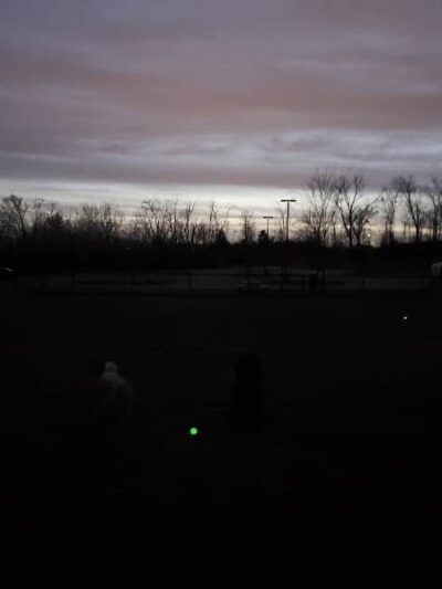 Pawmyra Dog Park - Mason, OH