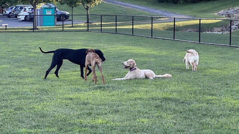Pawmyra Dog Park - Mason, OH