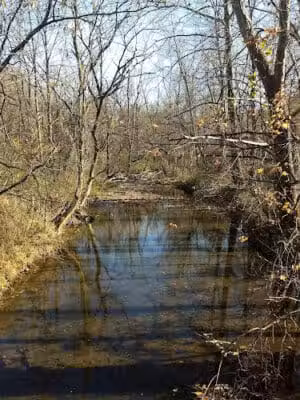 Lincoln Park - Massillon, OH