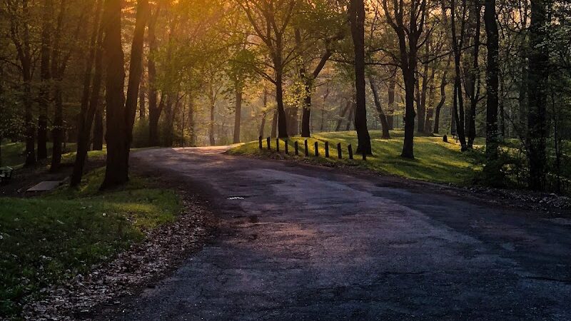 Lincoln Park - Massillon, OH