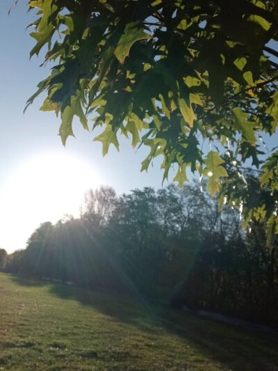 Meredith Park - Massillon, OH