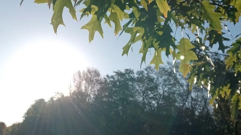 Meredith Park - Massillon, OH