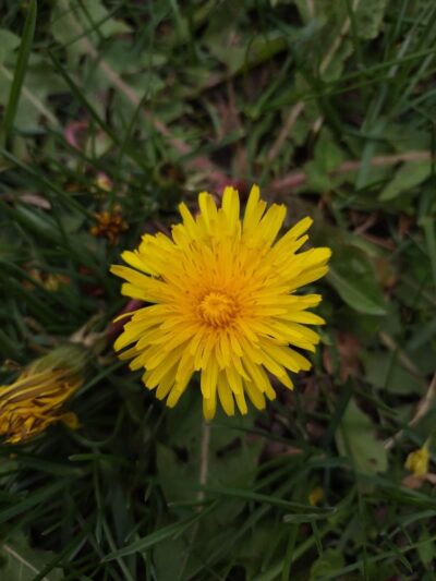 Oak Knoll Park - Massillon, OH