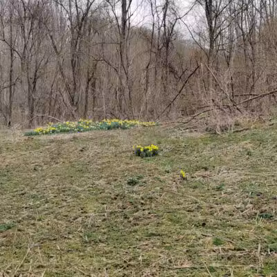 Archers Fork Trailhead - Matamoras, OH