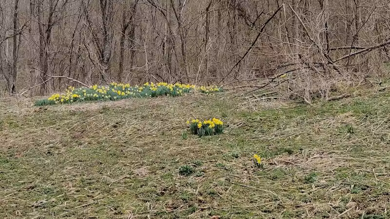 Archers Fork Trailhead - Matamoras, OH