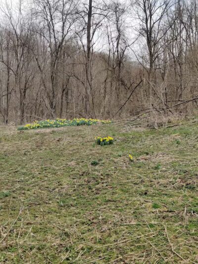 Archers Fork Trailhead - Matamoras, OH