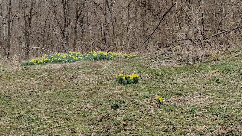 Archers Fork Trailhead - Matamoras, OH