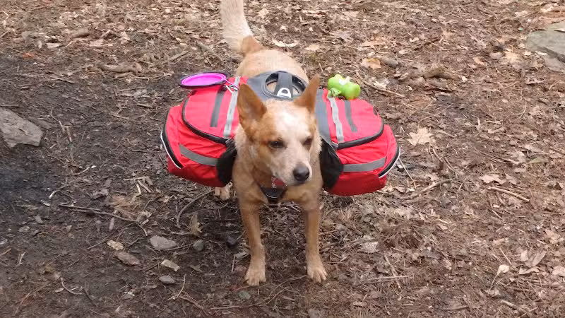 Archers Fork Trailhead - Matamoras, OH