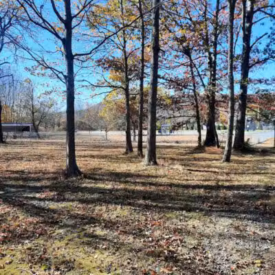 Matamoras Dog Park - Matamoras, PA