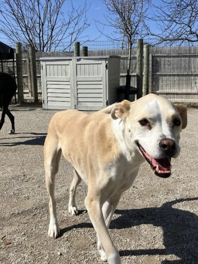 A Walk in the Park - Maumee, OH