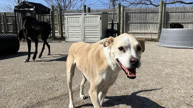 A Walk in the Park - Maumee, OH