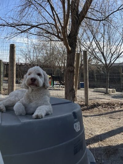 A Walk in the Park - Maumee, OH