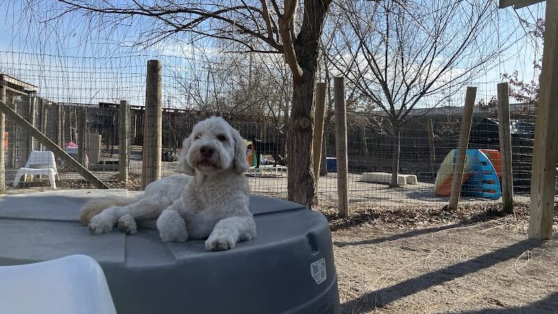 A Walk in the Park - Maumee, OH