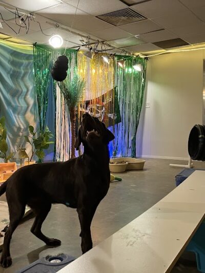 A Walk in the Park - Maumee, OH