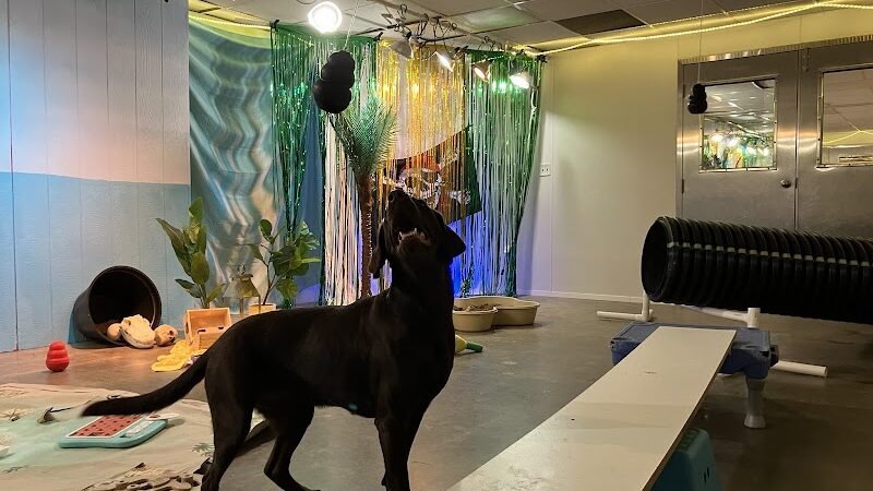 A Walk in the Park - Maumee, OH