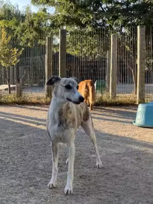 A Walk in the Park - Maumee, OH