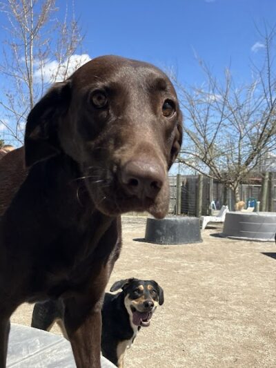 A Walk in the Park - Maumee, OH
