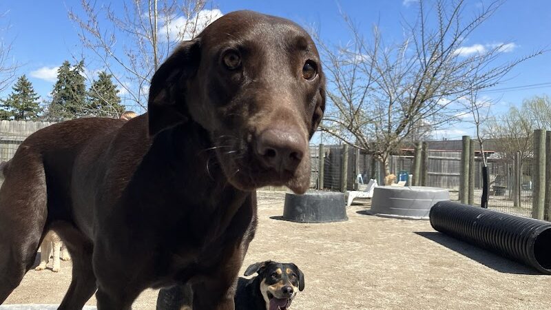 A Walk in the Park - Maumee, OH