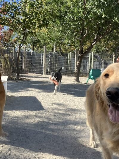 A Walk in the Park - Maumee, OH