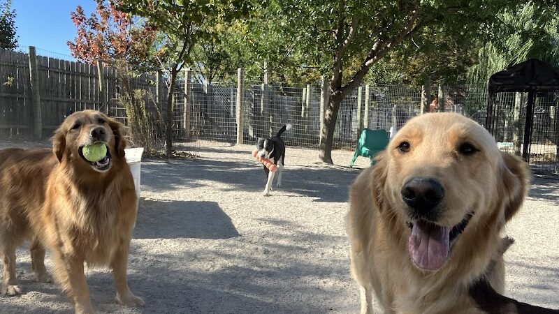 A Walk in the Park - Maumee, OH