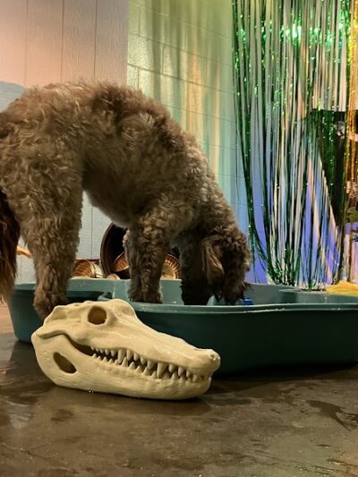 A Walk in the Park - Maumee, OH