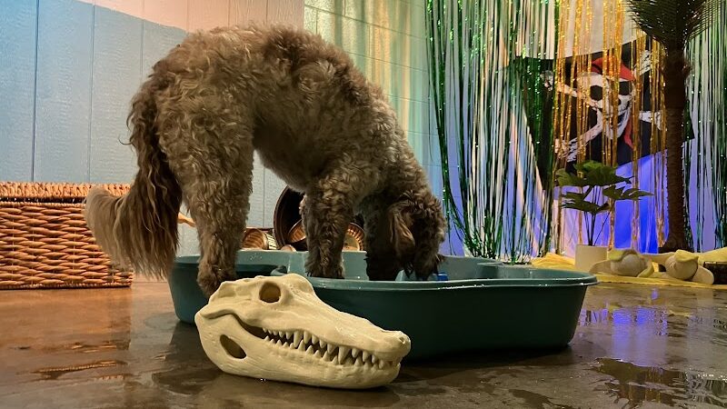 A Walk in the Park - Maumee, OH