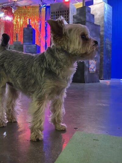 A Walk in the Park - Maumee, OH