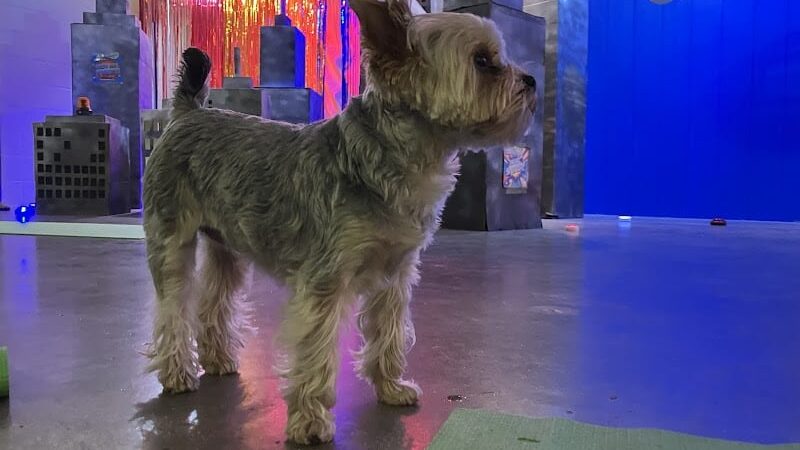 A Walk in the Park - Maumee, OH