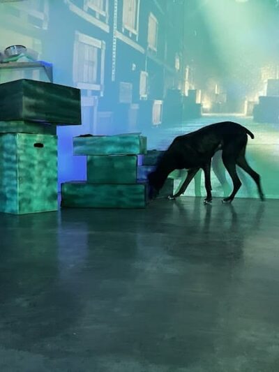 A Walk in the Park - Maumee, OH