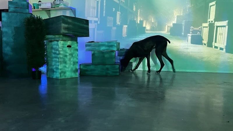 A Walk in the Park - Maumee, OH