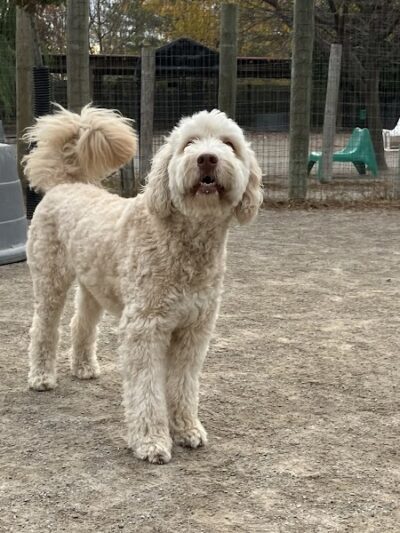 A Walk in the Park - Maumee, OH