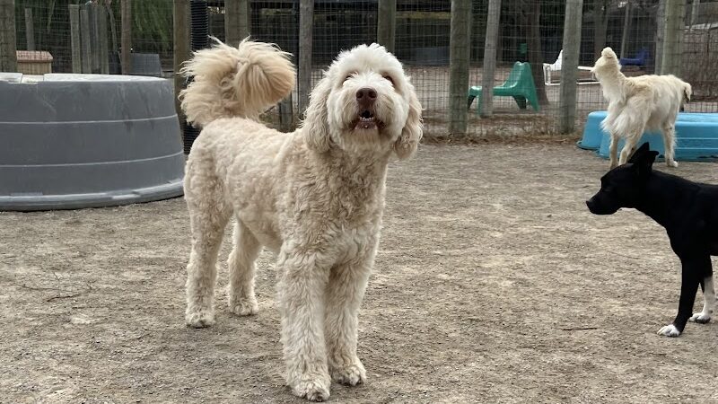 A Walk in the Park - Maumee, OH